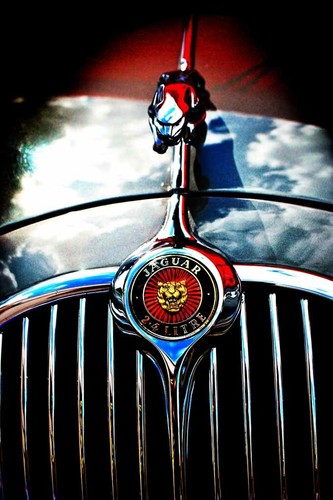 Jaguar auto springende katze - jaguar,