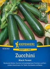 KLETTER-  ZUCCHINI " Black Forest   " rankend Balkon Freiland Samen 1038360