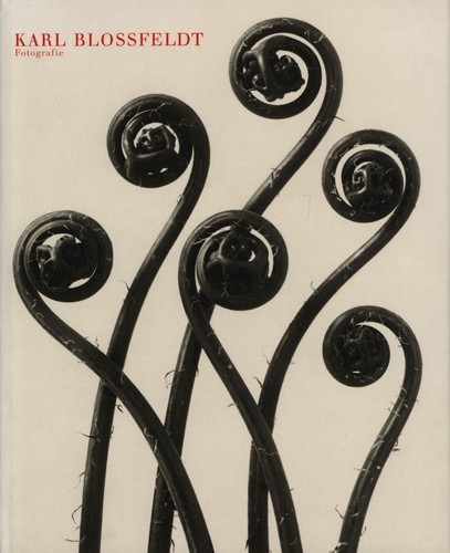 Blossfeldt karl - blossfeldt,,