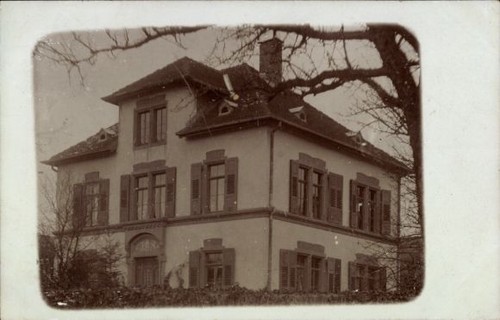 Foto oberbach wildflecken - foto,