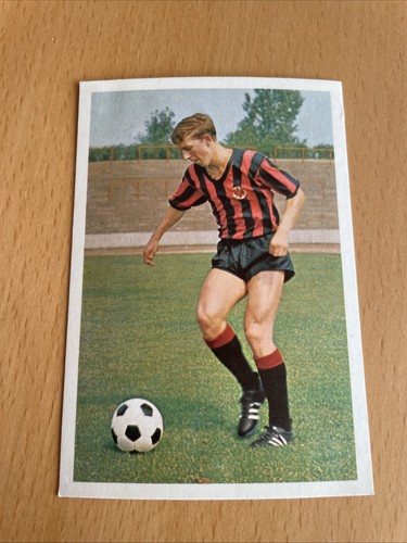 Bergmann 1965 141 - bergmann,