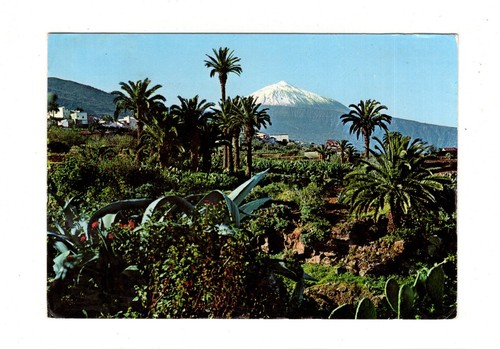 Ansichtskarte teneriffa - ak,