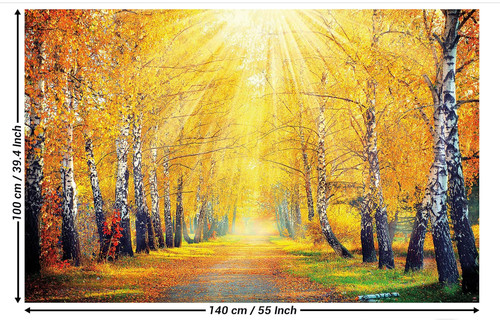 Fototapete poster herbst wald - poster,