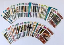 Netto - Ozeanien 11 * Geheimnisse der Nacht *  Glitzerkarten, Karten z aussuchen