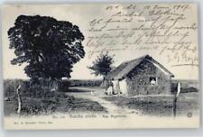 50584190 - Criollo Argentinien