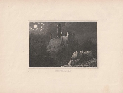 C1850 burgruine wildenfels - burgruine,