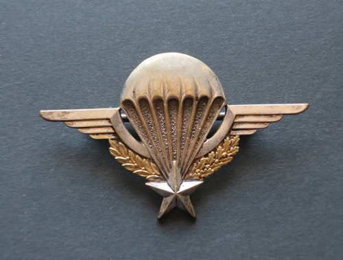 Fallschirmjäger springer - fallschirmjäger,