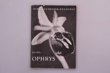 113970 OPHRYS Querschnitt