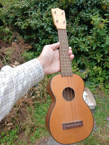 Brüko sopranukulele - brüko, 7