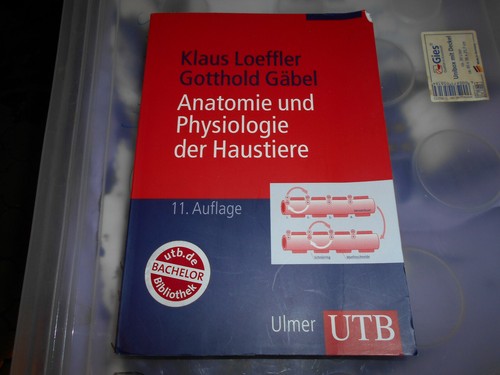 Anatomie und physiologie - anatomie,