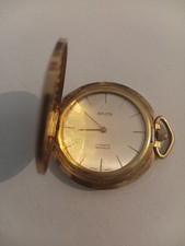 Provita 17 Rubis Incabloc