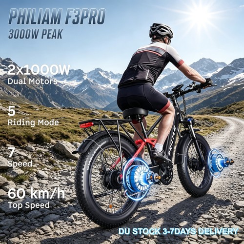 Dual motor fat tire - dual,