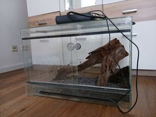 Glasterrarium Pfeilgiftfrösche Ca60×40×40 mit Schiebetür