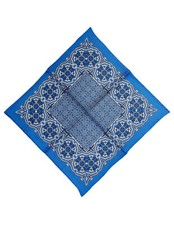 Cesare Attolini Einstecktuch