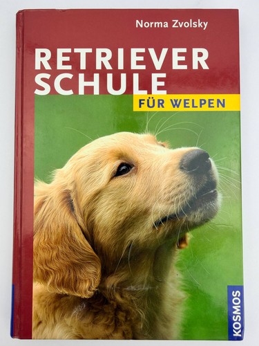 Hundeschule retriever welpen - hundeschule,