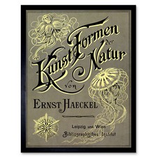 Ernst Haeckel Kunst Formen Der