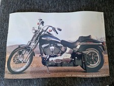 Poster Harley Davidson Springer Softail