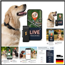PAJ GPS Tracker für Hunde - 4G - Weglaufalarme + weltweite Live-Ortung - bis ...