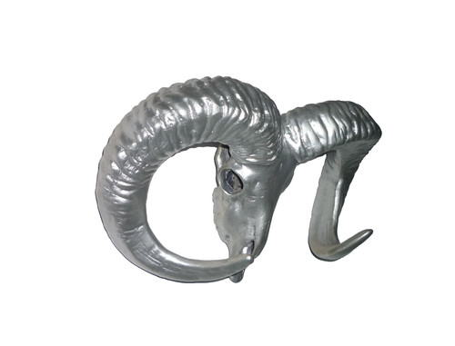 Widder kopf schädel - widder, geweih