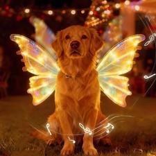 2026 Elektrisches LED Hund