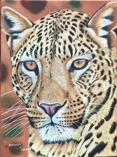 Leopard