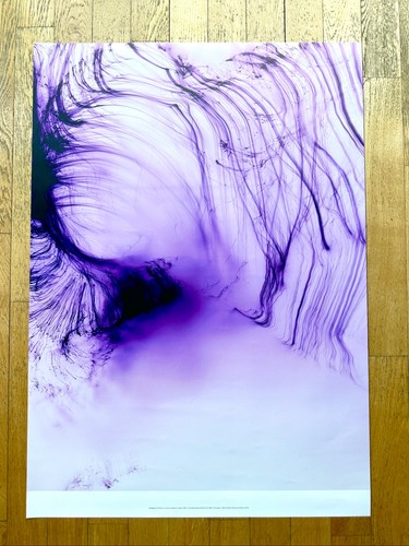 Wolfgang tillmans original - wolfgang,