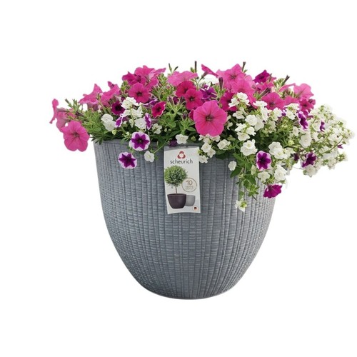 Scheurich barceo blumentopf - scheurich,