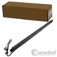 NTY ELEKTRISCHER HECKKLAPPEN LIFTER RECHTS passend für SKODA OCTAVIA III COMBI