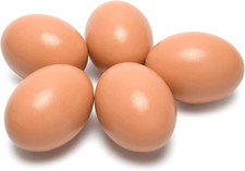 Ganke Holzeier Nesteier Für