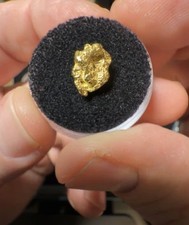 PURE GOLD NUGGET ALASKA YUKON