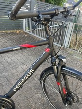 Herren Fahrrad Pegasus