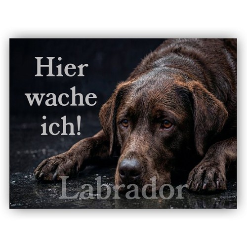 Brauner labrador warnschild - brauner,