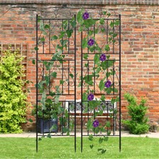 2er Metall Rankgitter