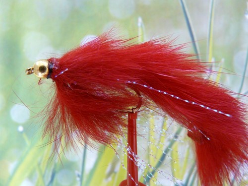 Streamer predator red - streamer,