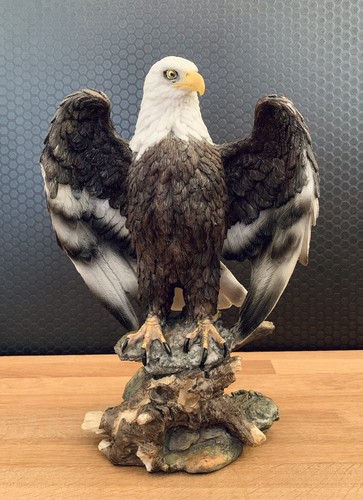 Weisskopfadler adler cm - weisskopfadler, 30