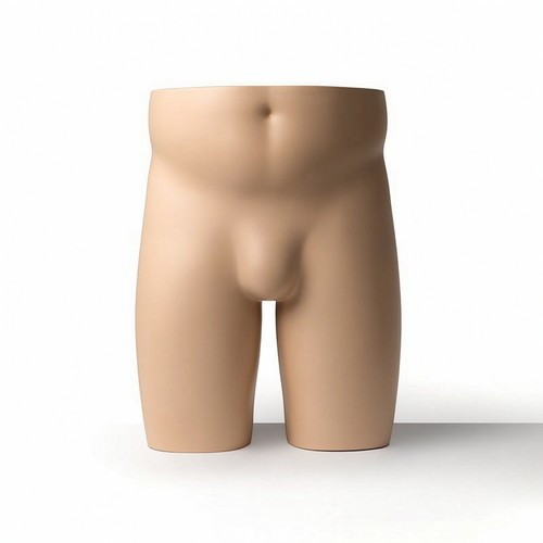 Herren-Unterkörper-Torso
