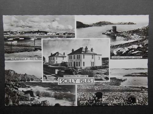 Tremellyn guest house - tremellyn,