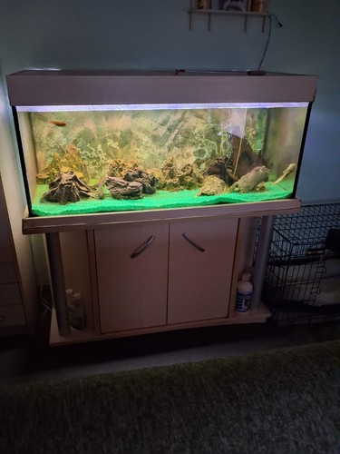 Aquarium komplett 300l - aquarium,