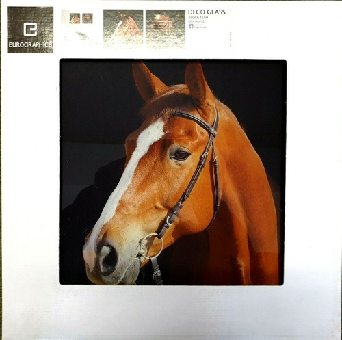 Eurographics glasbild 30x30cm - eurographics,