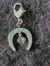 Neu ❗️Swarovski Charm