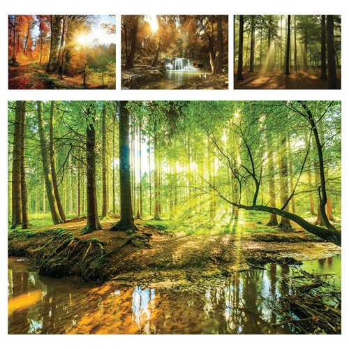 Vlies fototapete wald bach - fototapete,