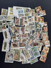 Sammelbilder Konvolut