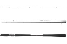 Daiwa DW Pro Staff 3,20m