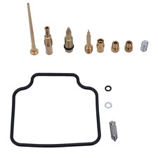 Vergaser Reparatur Satz