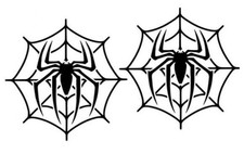 Spinne im netz - ,