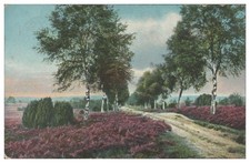 V9473/ Lüneburger Heide