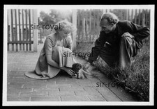 Leipzig 1952 - Dackel Welpe