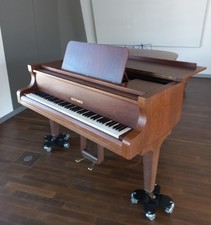 Flügel Blüthner,  Länge 190