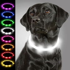 Hund Leuchthalsband LED USB