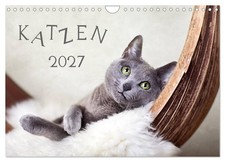 Katzen 2027 wandkalender - 2027, (wandkalender